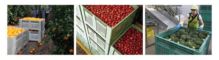 product-1-1 HTB1vW3xSXXXXXXGaFXXq6xXFXXXI.jpg