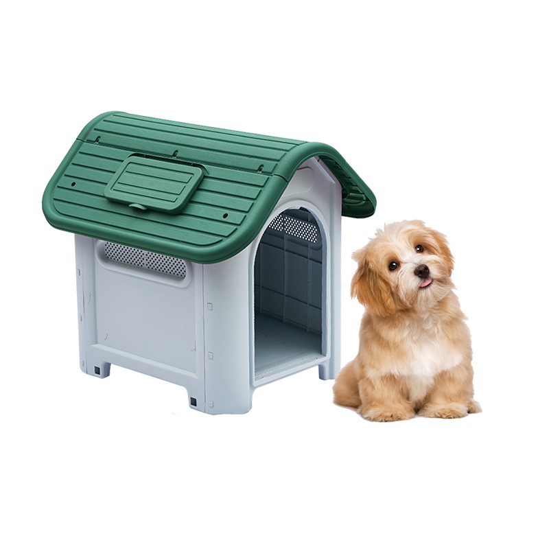 product-800-800