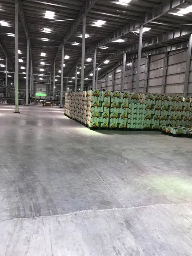 Plastic Pallet Manufacturers To Seek Diversified Development In Linyi City