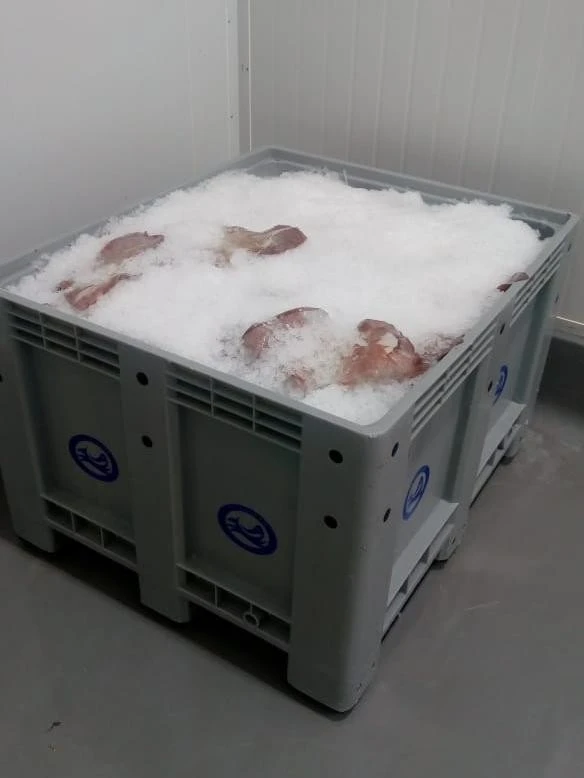 Solid Plastic Pallet Box