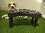 Dog Bowl Pet Feeder