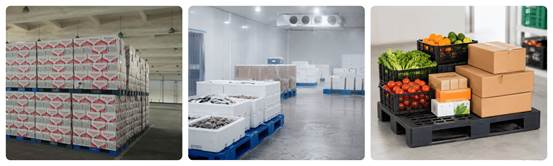 plastic-pallet-applications-warehouse-cold-storage-food plastic-pallet-applications-warehouse-cold-storage-food