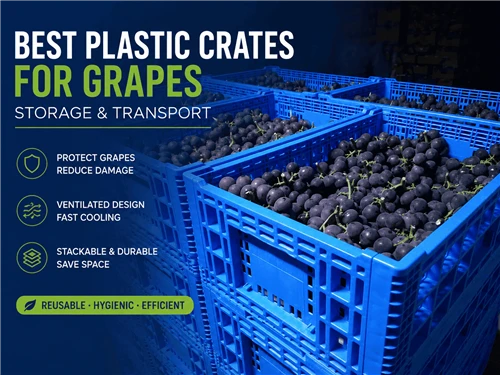 Best Plastic Crates For Grapes: Storage And Transport