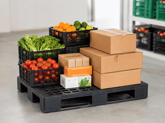 plastic-pallets-for-food-and-beverage-supply-chain plastic-pallets-for-food-and-beverage-supply-chain