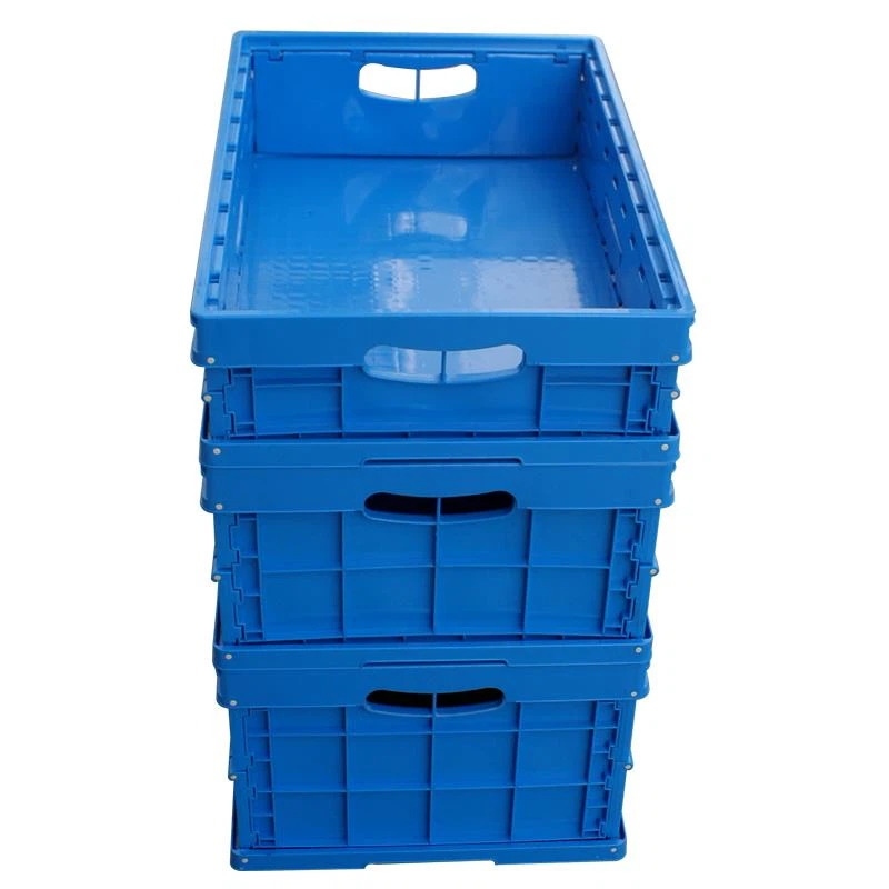 product-800-800 product-800-800