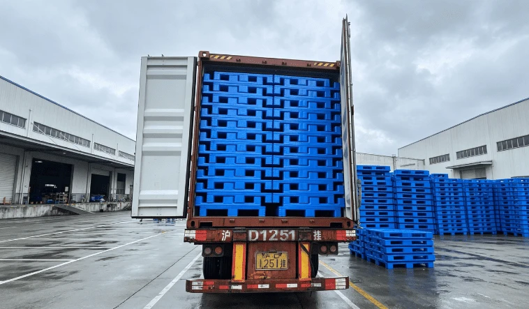 closed-deck-plastic-pallets-south-africa-container-loading closed-deck-plastic-pallets-south-africa-container-loading